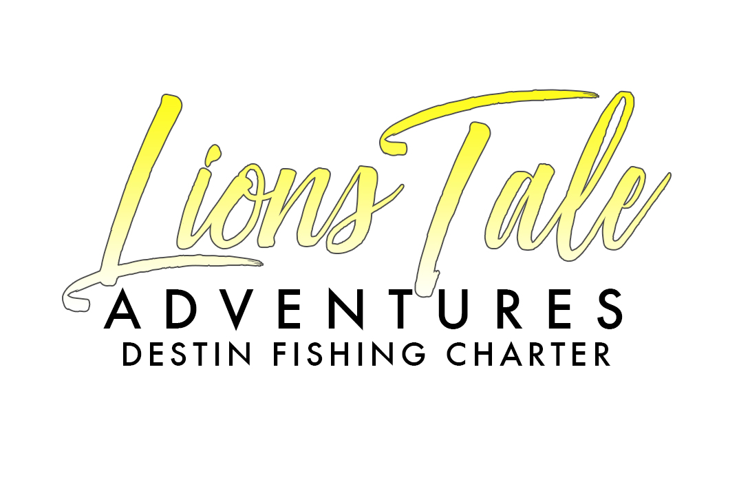 Lions Tale Adventures
